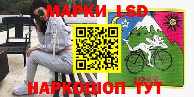 шишки Бийск