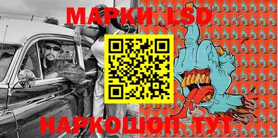 шишки Бийск