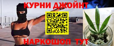 шишки Бийск