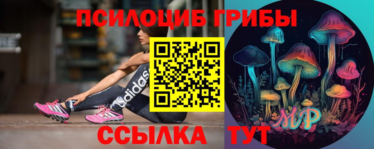 Карачаевск  Галлюциногенные грибы Psilocybine cubensis  Вход с VPN 