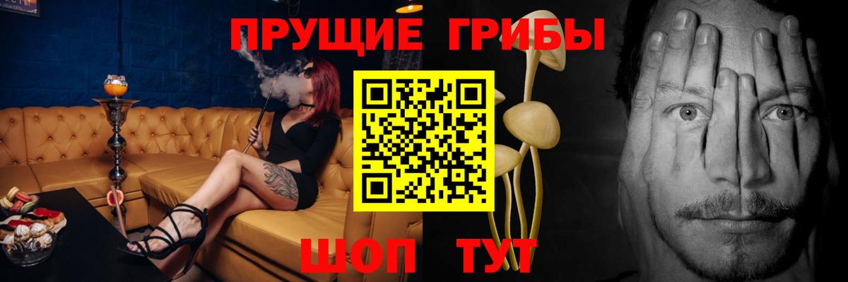 Галлюциногенные грибы GOLDEN TEACHER Карачаевск